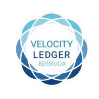 Velocity Ledger 350.jpg