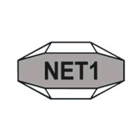 NET1.jpg