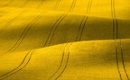 norway-approves-aquaterra-omega-3-oil-for-use-in-aquafeed
